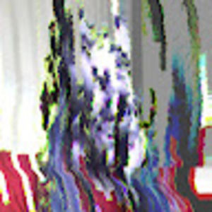 Meet your Posher, Harrison